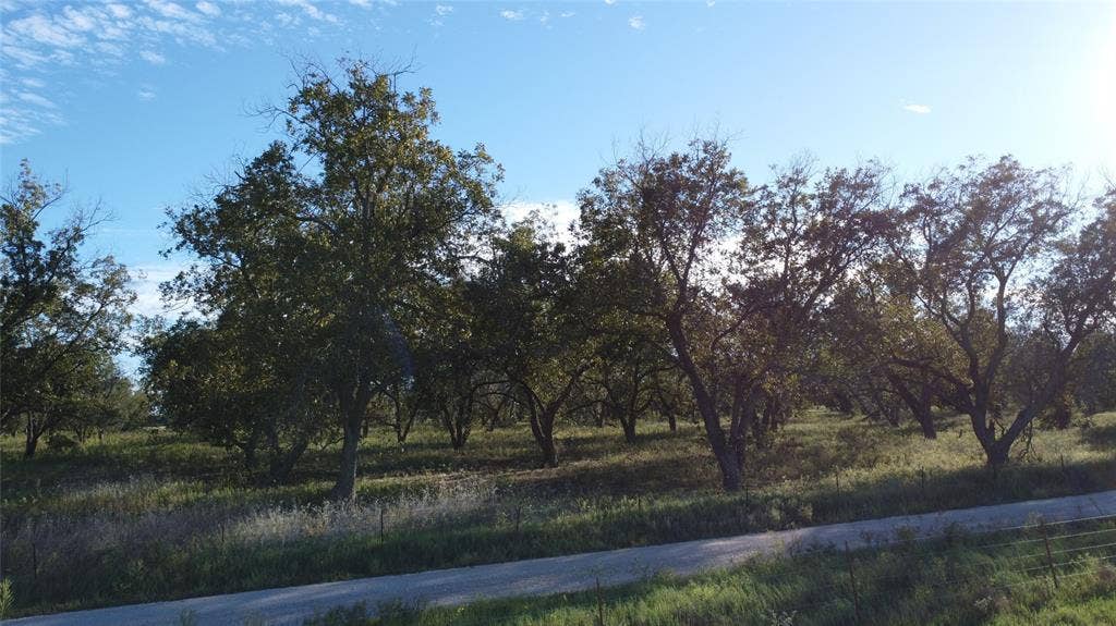 Lot 4 County Road 461, De Leon, TX 76444