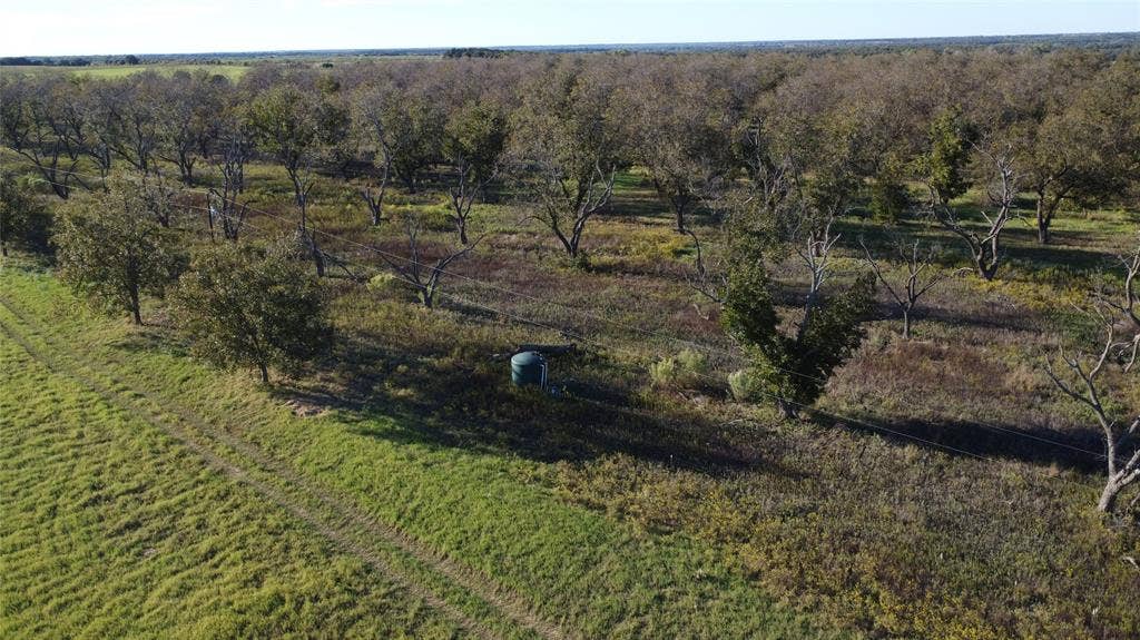 Lot 4 County Road 461, De Leon, TX 76444