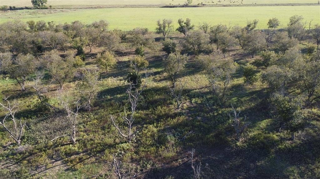 Lot 4 County Road 461, De Leon, TX 76444