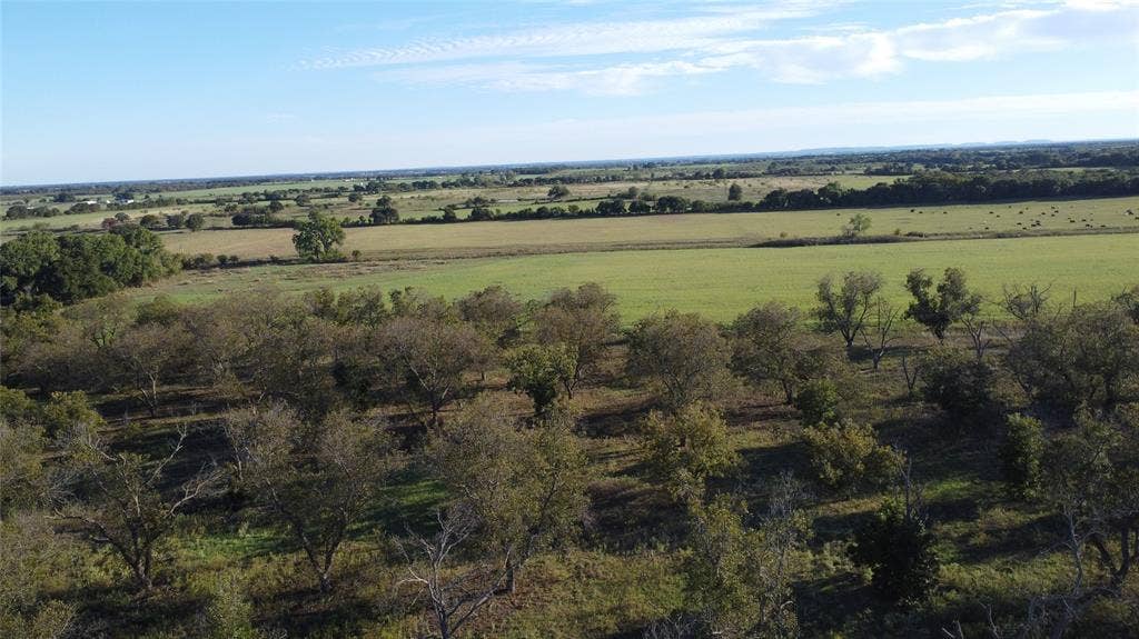 Lot 4 County Road 461, De Leon, TX 76444