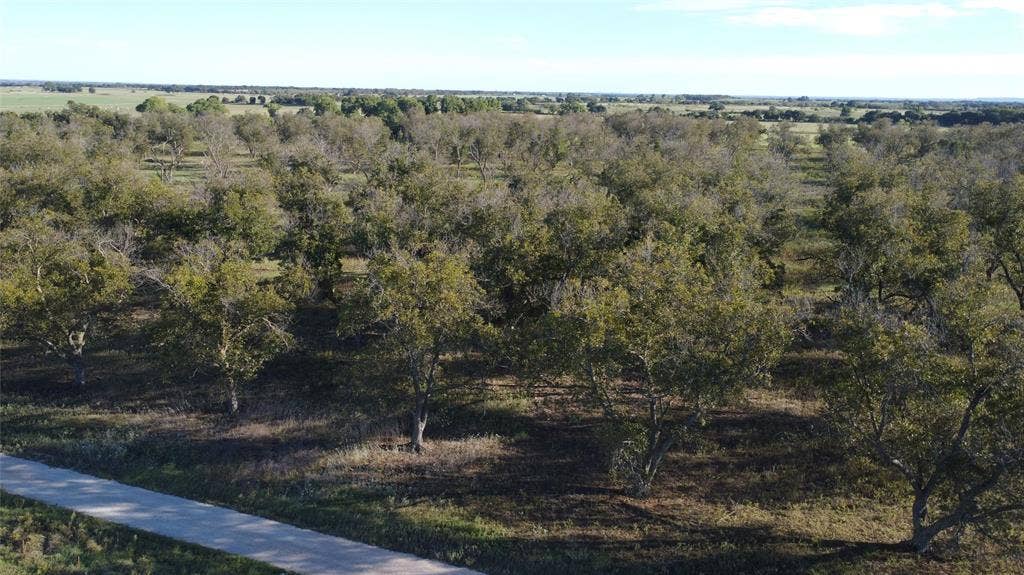 Lot 4 County Road 461, De Leon, TX 76444