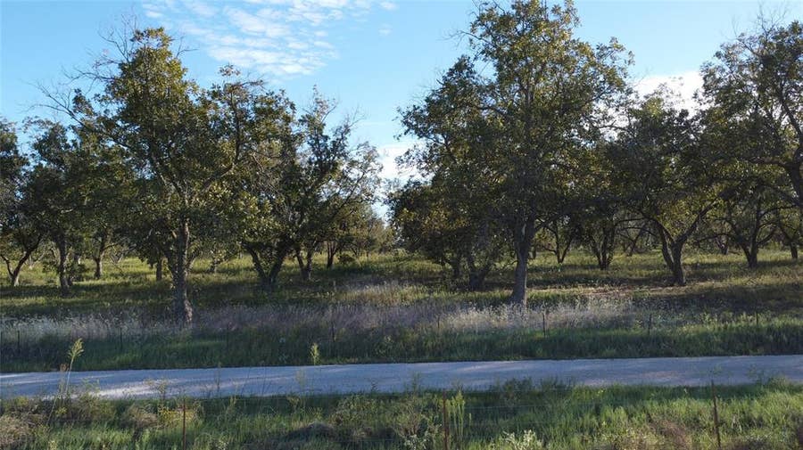 Property photo for Lot 4 County Road 461, De Leon, TX