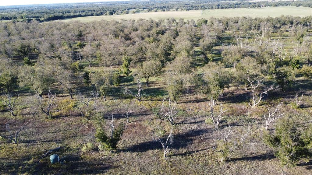 Lot 4 County Road 461, De Leon, TX 76444