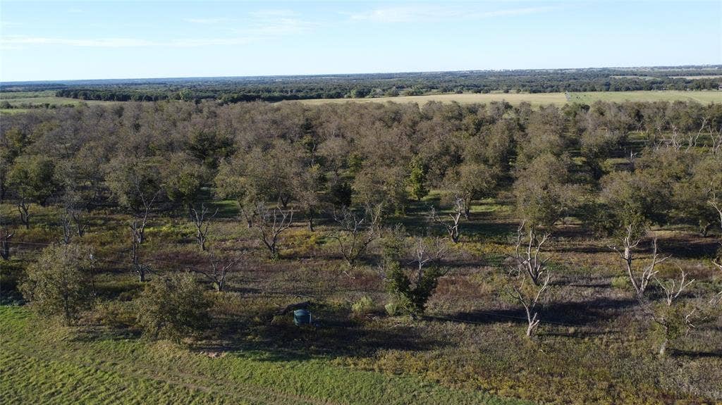 Lot 4 County Road 461, De Leon, TX 76444