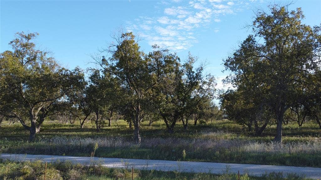 Lot 4 County Road 461, De Leon, TX 76444