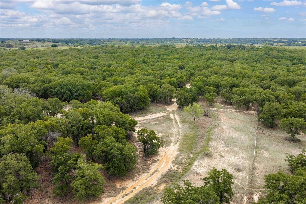 5540 County Road 334, Blanket, TX 76432 Expansive acreage featuring mature trees, natural terrain, and an unpaved path