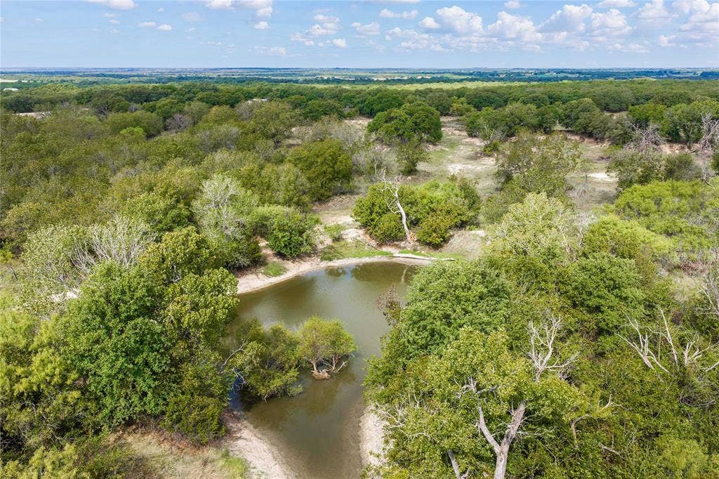 5540 County Road 334, Blanket, TX 76432 Expansive acreage featuring mature trees, natural vegetation, and a private pond