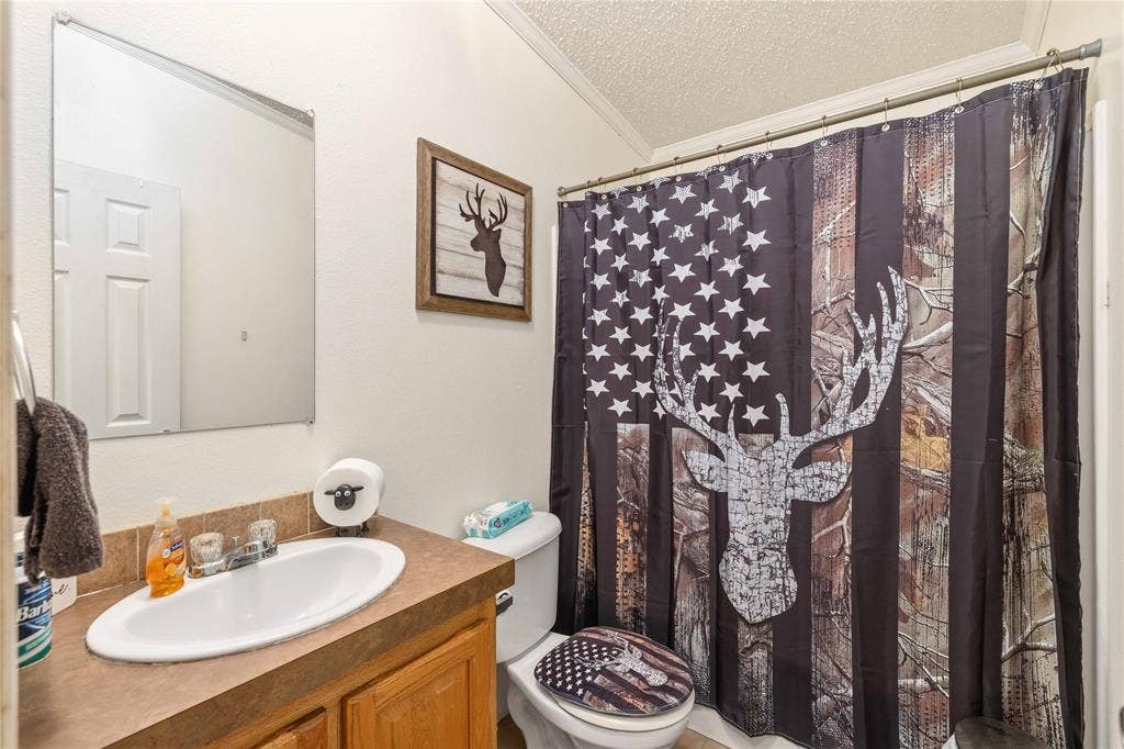 5540 County Road 334, Blanket, TX 76432 Bathroom featuring a vanity with a drop-in sink, countertop, and wood-finish cabinetry, paired with a wall-mounted mirror and a shower curtain rod