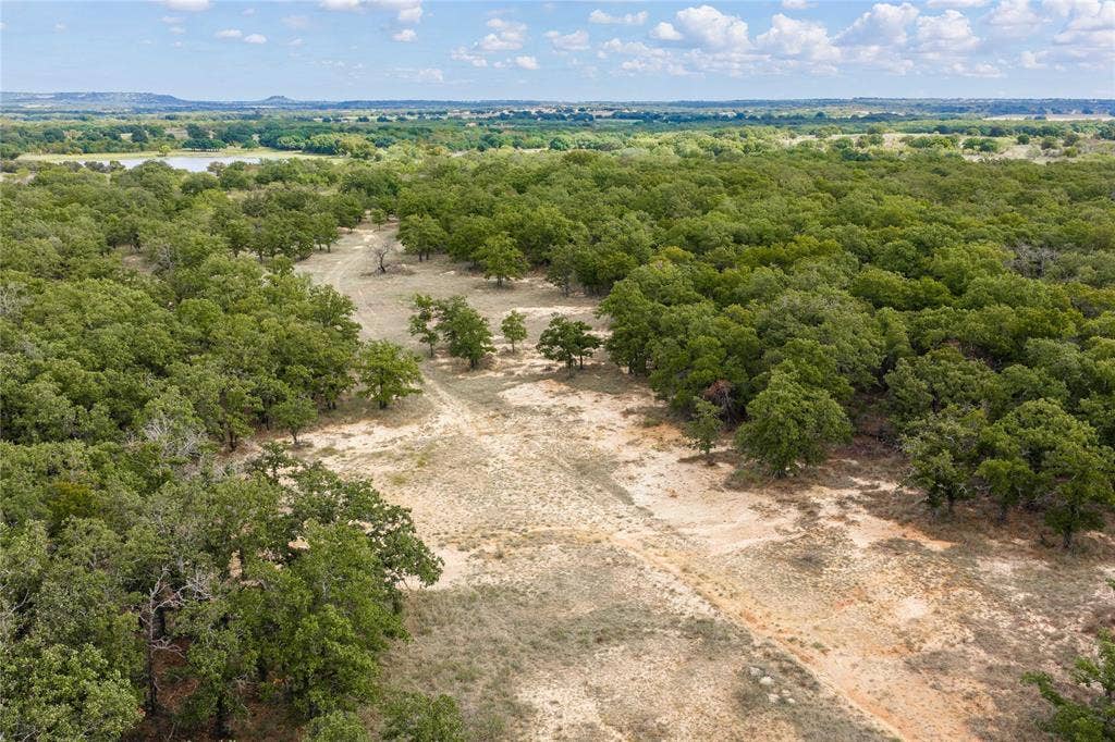 5540 County Road 334, Blanket, TX 76432 Expansive acreage featuring dense clusters of mature trees, natural vegetation, unpaved terrain, and distant horizon scenery