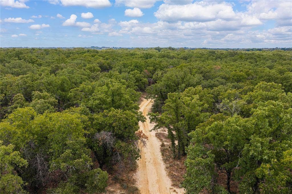 5540 County Road 334, Blanket, TX 76432 Expansive acreage featuring dense mature woodland and a natural sand-surface path