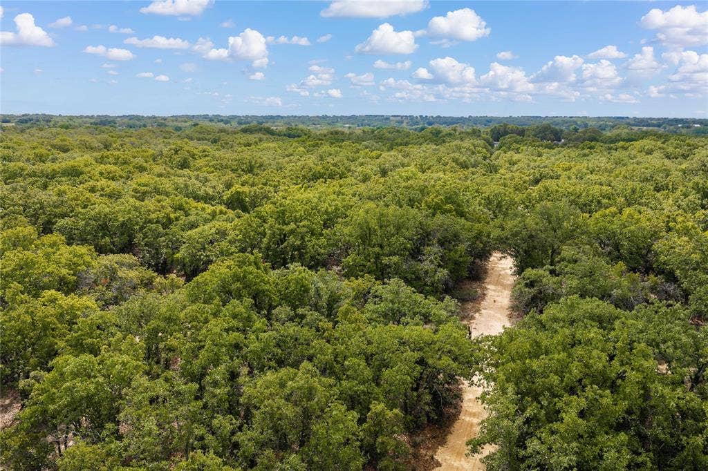 5540 County Road 334, Blanket, TX 76432 Expansive parcel featuring mature hardwood trees and a natural dirt path