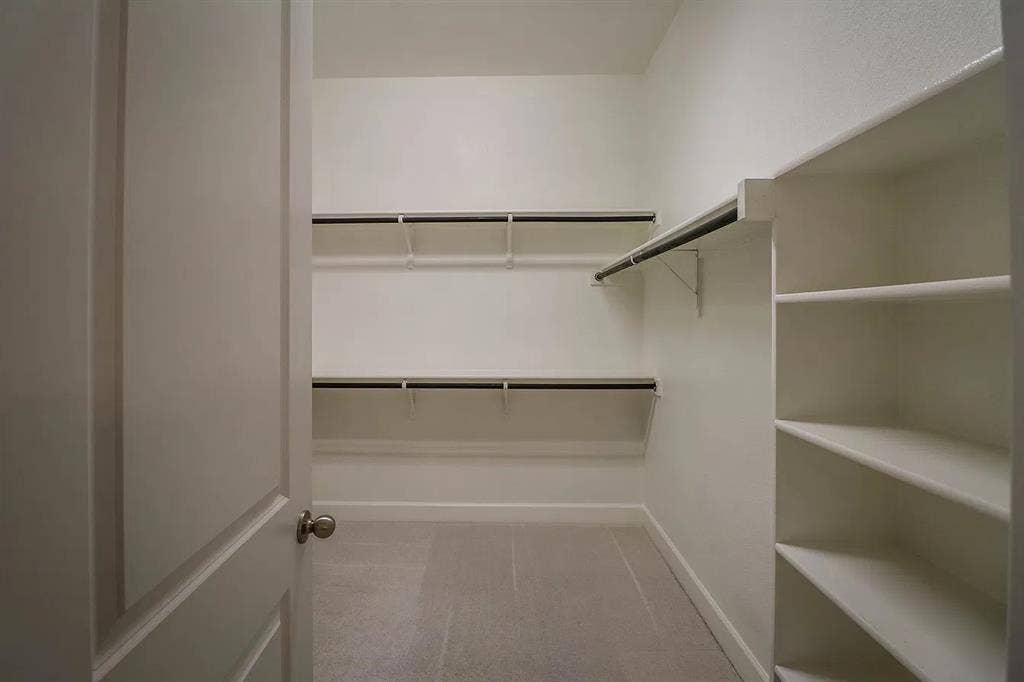 Walk-in closet featuring multi-level hanging rods, integrated shelving units, and neutral carpeting