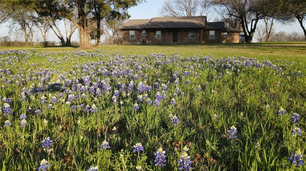 This property is on the Bluebonnet Trail!