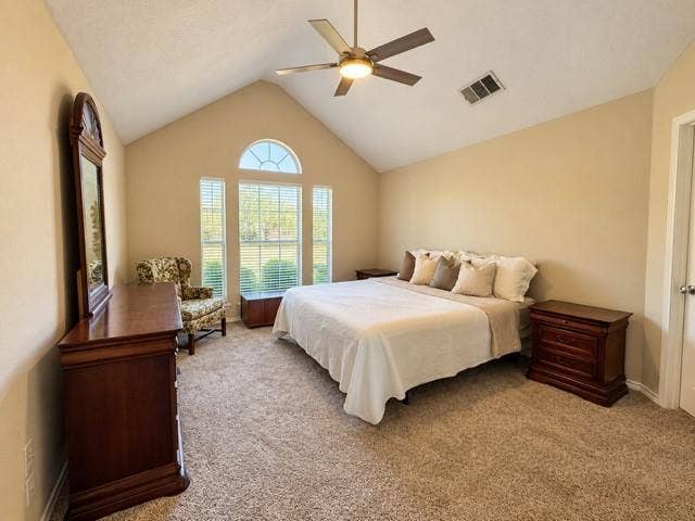 8813 Pheasant Run Drive, Rowlett, TX 75089 Master room for setting area vaulted ceiling new carpet and Ceiling fan large window