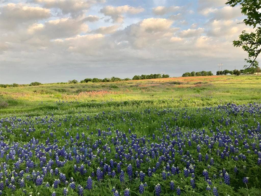 00 000 Fm-660, Ennis, TX 75119 00 000 Fm-660, Ennis, TX 75119