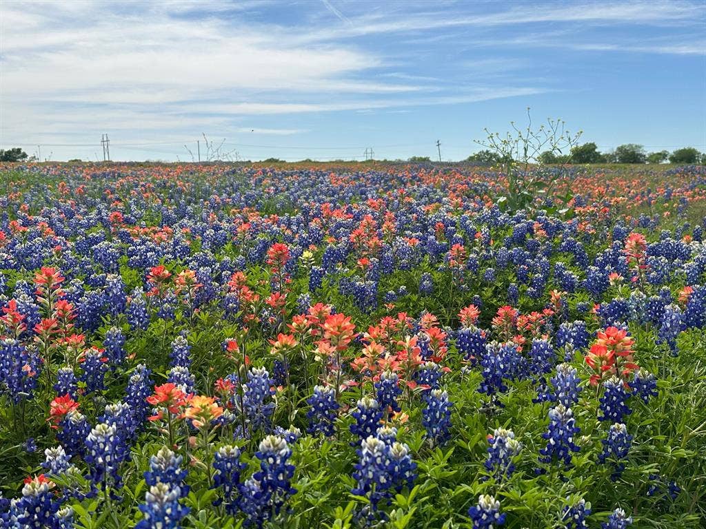 00 000 Fm-660, Ennis, TX 75119 00 000 Fm-660, Ennis, TX 75119