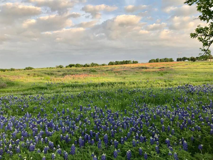 Property photo for 00 00 Fm-660, Ennis, TX