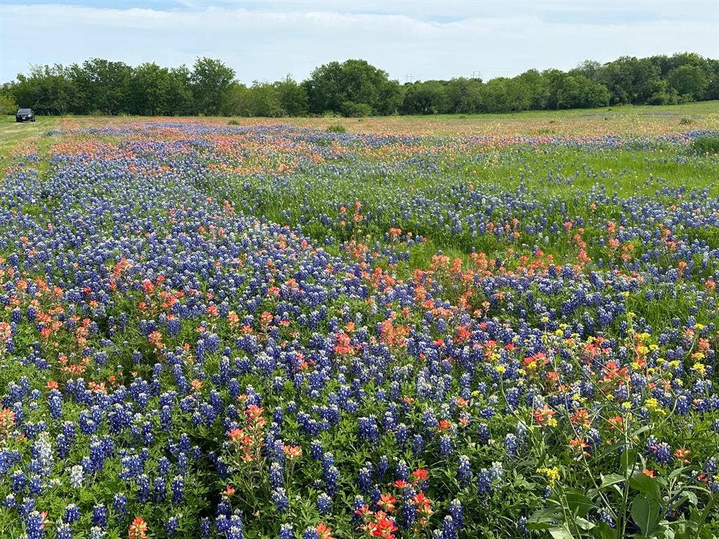 00 00 Fm-660, Ennis, TX 75119