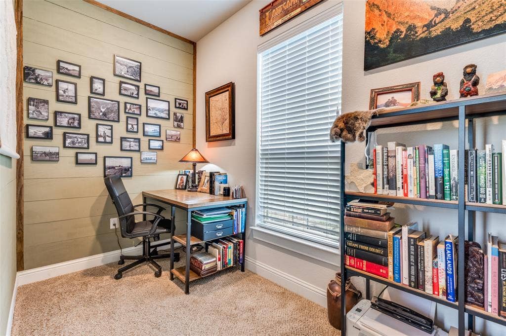 Accent wall featuring horizontal wood-plank paneling with timber trim, neutral carpeting, and a large window with fitted blinds