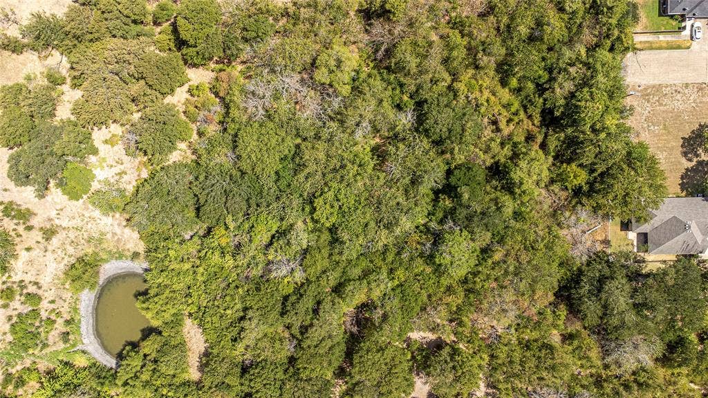 Expansive parcel featuring mature tree canopy, diverse natural terrain, and a dedicated pond
