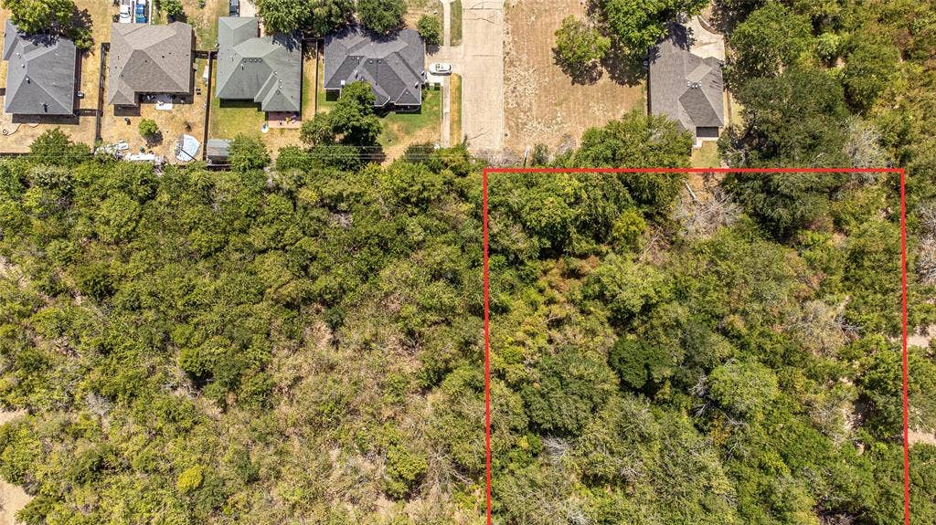 Vacant lot featuring mature trees and dense natural vegetation