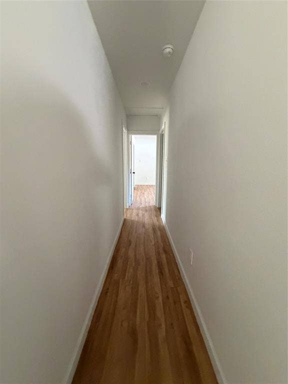 Interior corridor featuring wood-finish flooring and neutral-toned wall paint