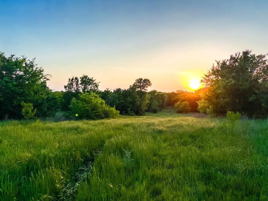Property photo for 0000 County Road 855, Teague, TX