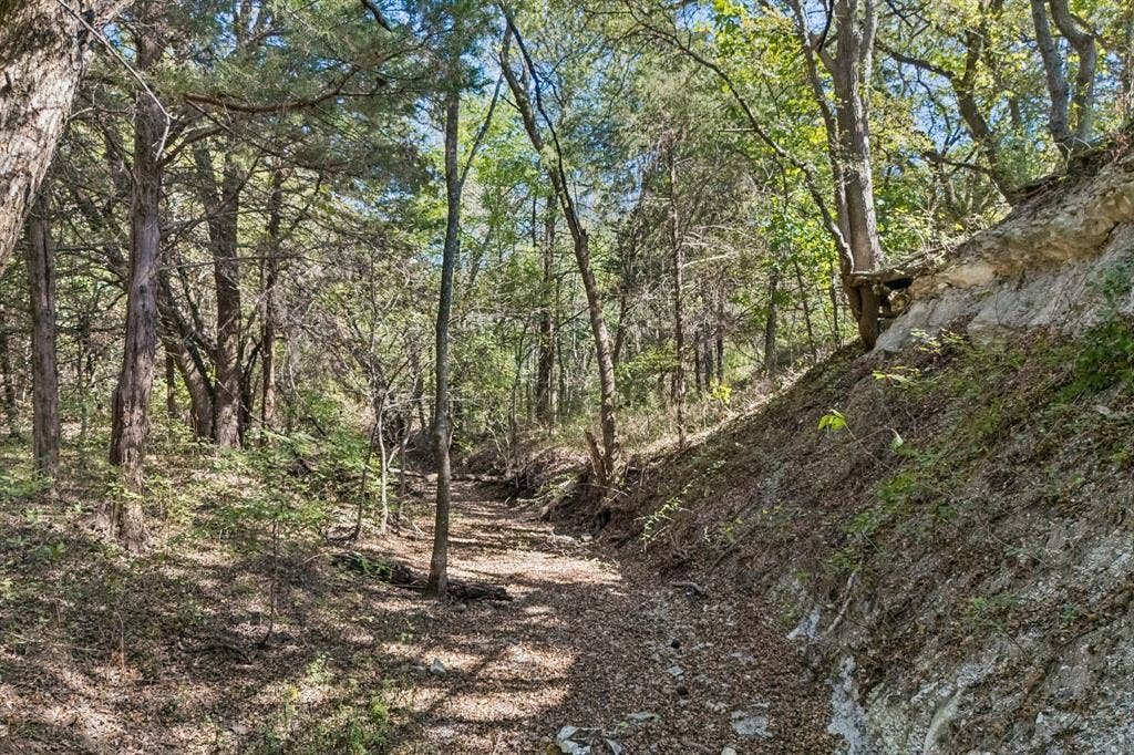 15411 County Road 482, Van Alstyne, TX 75495 15411 County Road 482, Van Alstyne, TX 75495