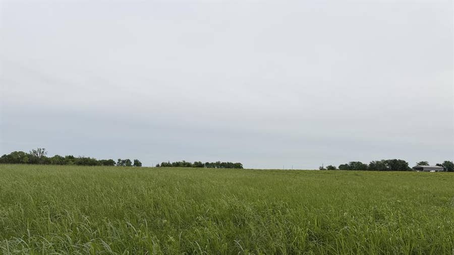 Property photo for TBD FM 114, Annona, TX