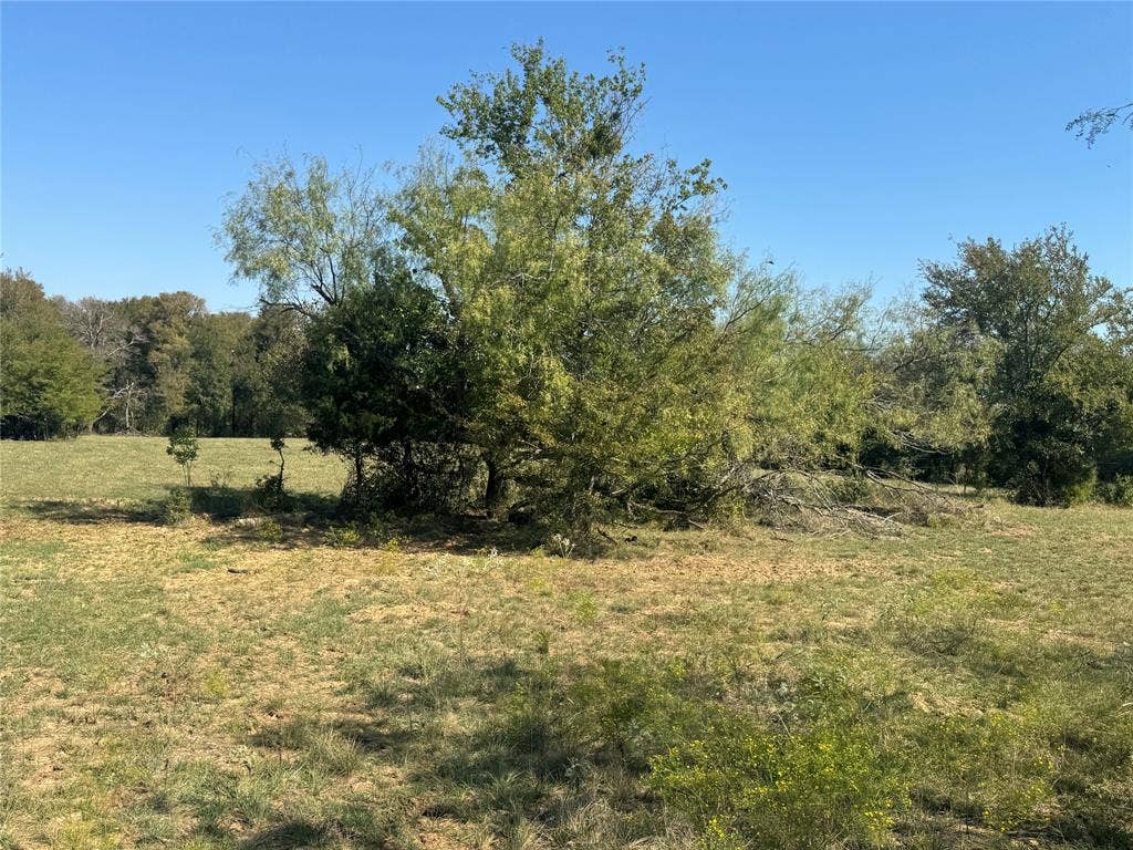 15575 County Road 116, Mabank, TX 75147