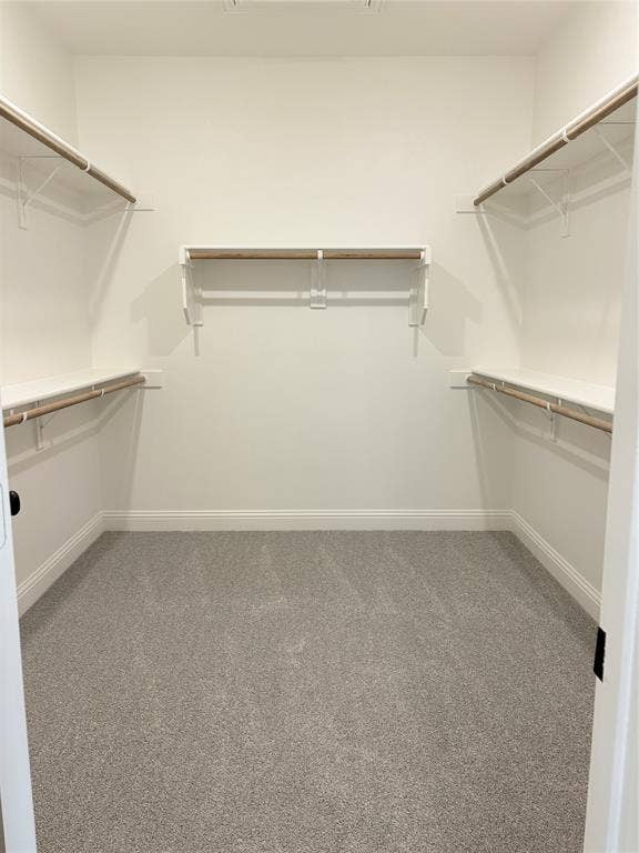 2528 Brunswick Way, Allen, TX 75013 Walk-in closet featuring tiered white shelving and integrated hanging rods, finished with neutral wall-to-wall carpeting