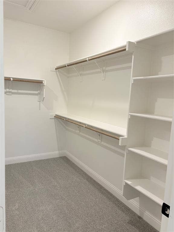2528 Brunswick Way, Allen, TX 75013 Walk-in closet featuring wall-to-wall carpeting, floor-to-ceiling built-in shelving, and dual-level hanging rods
