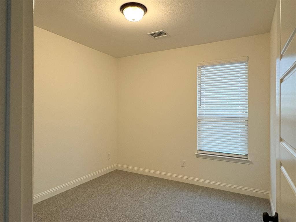 2528 Brunswick Way, Allen, TX 75013 Neutral-toned interior space featuring wall-to-wall carpeting, a single window with horizontal blinds, and a dome-style flush-mount ceiling light