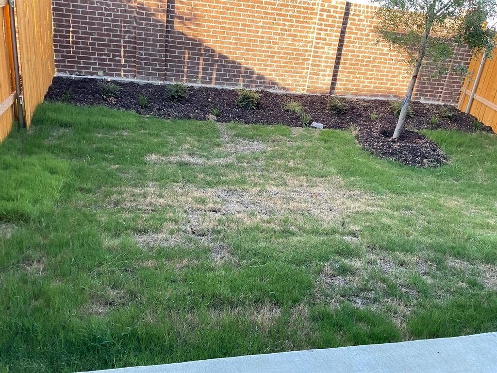 325 Stone Court, Princeton, TX 75407 Fenced backyard featuring wood-panel fencing, a brick perimeter wall, mulch-covered planting beds, and a single tree