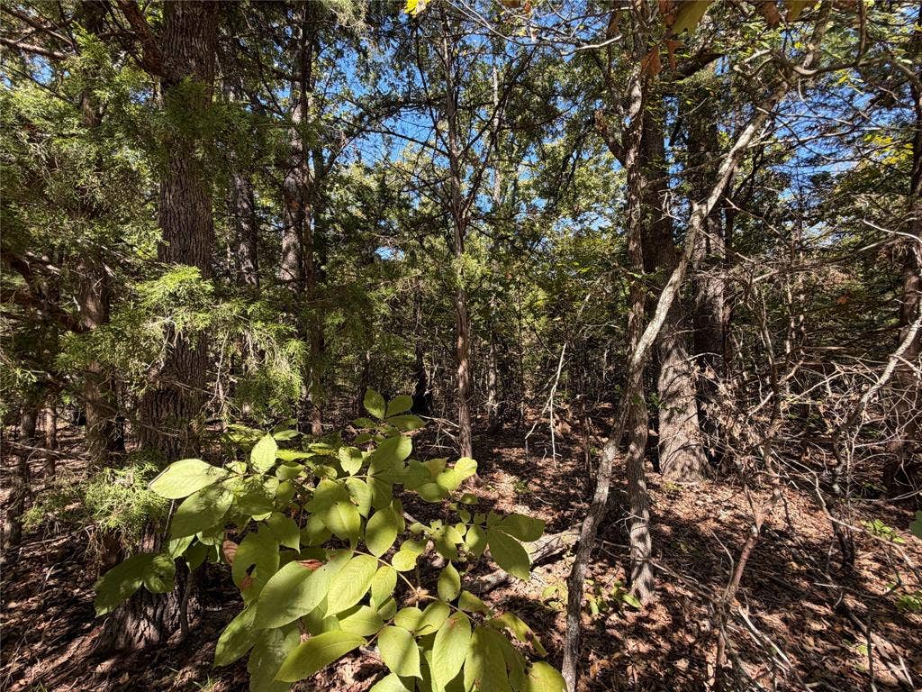34730 County Road, Paris, TX 75473