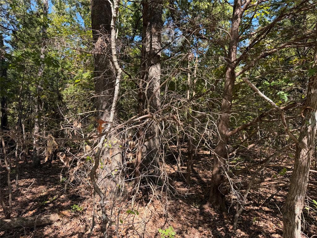 34730 County Road, Paris, TX 75473