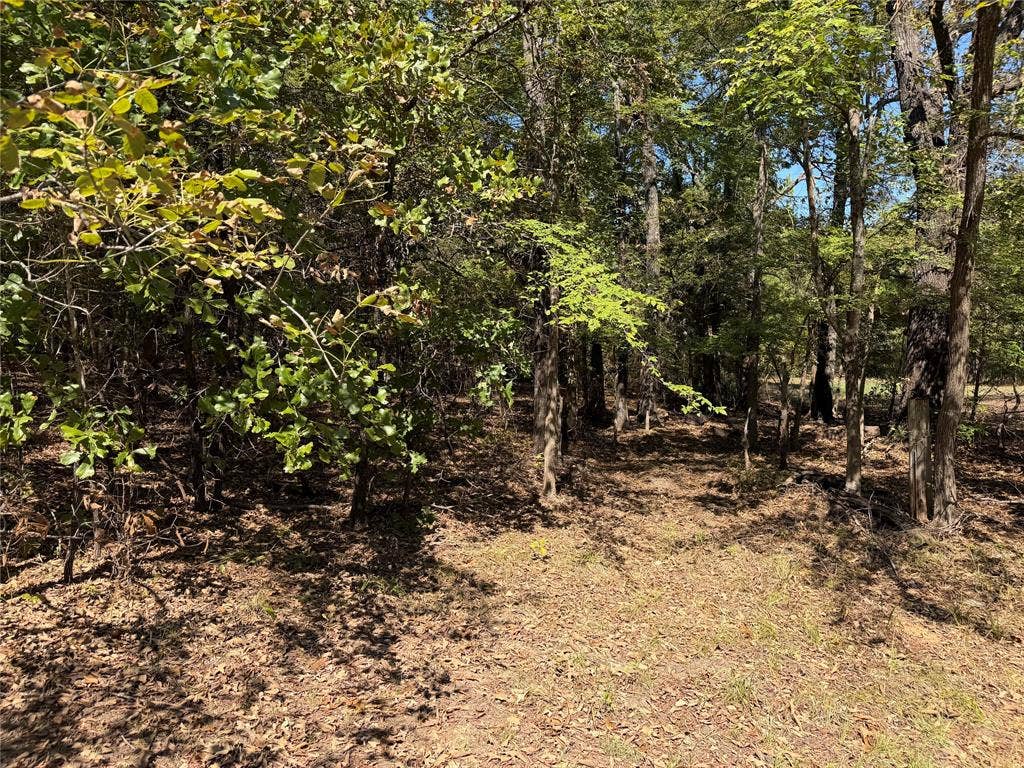 34730 County Road, Paris, TX 75473