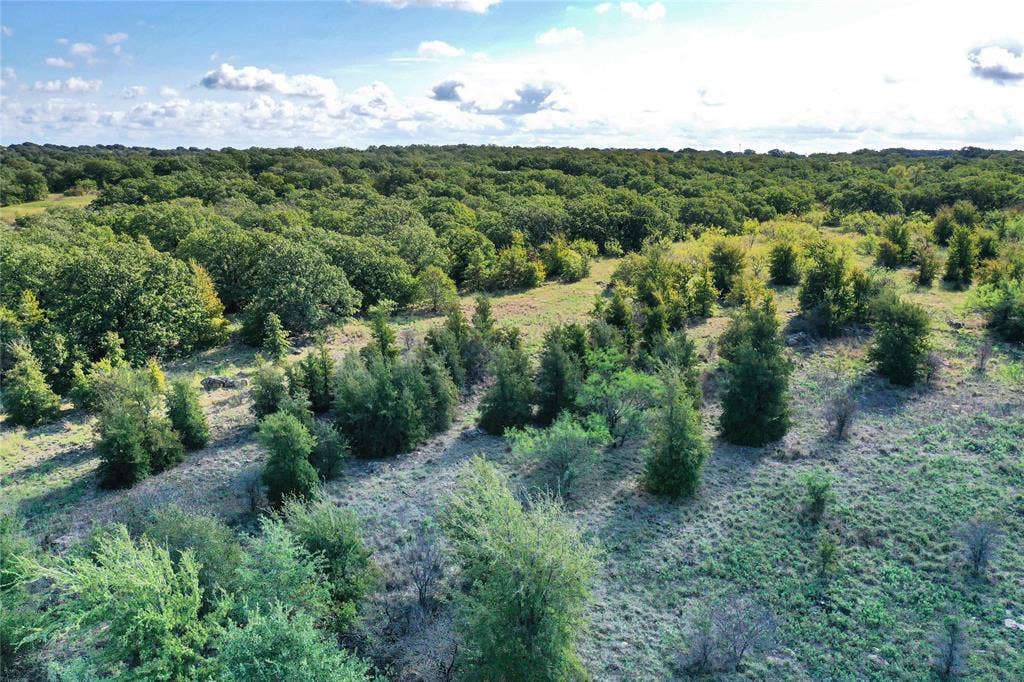 27.12 Acres 199 Highway, Jacksboro, TX 76458