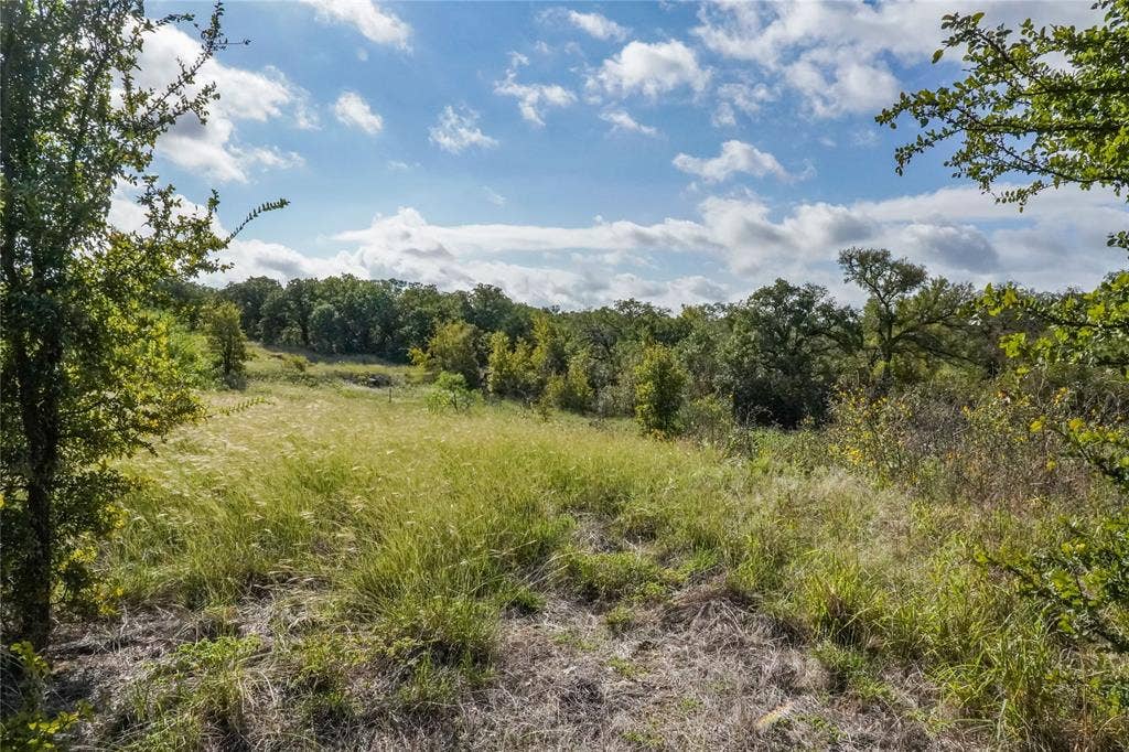27.12 Acres 199 Highway, Jacksboro, TX 76458
