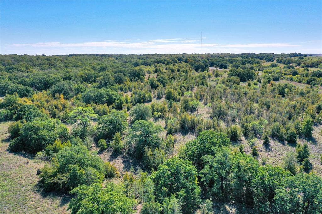 27.12 Acres 199 Highway, Jacksboro, TX 76458