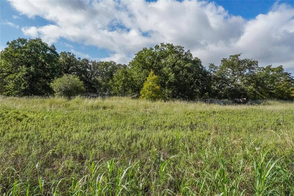 27.12 Acres 199 Highway, Jacksboro, TX 76458