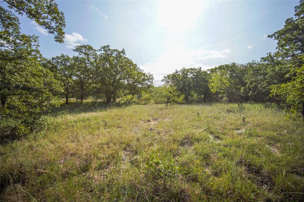 27.12 Acres 199 Highway, Jacksboro, TX 76458