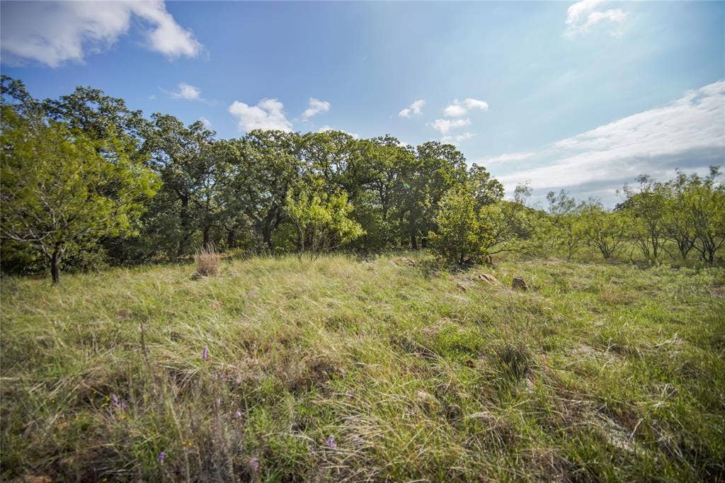 27.12 Acres 199 Highway, Jacksboro, TX 76458