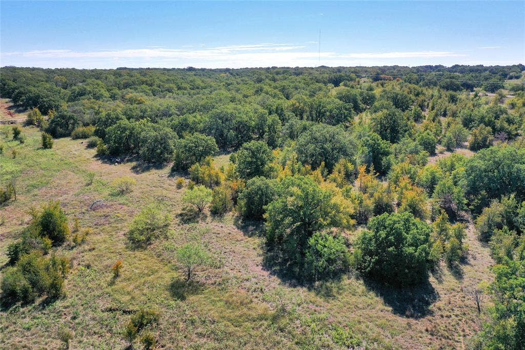 27.12 Acres 199 Highway, Jacksboro, TX 76458