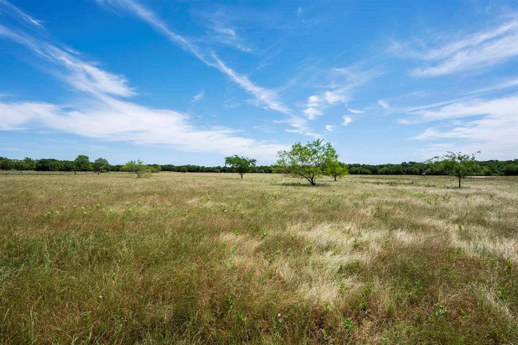 Expansive acreage featuring natural grasses, mature trees, and a tree-lined perimeter