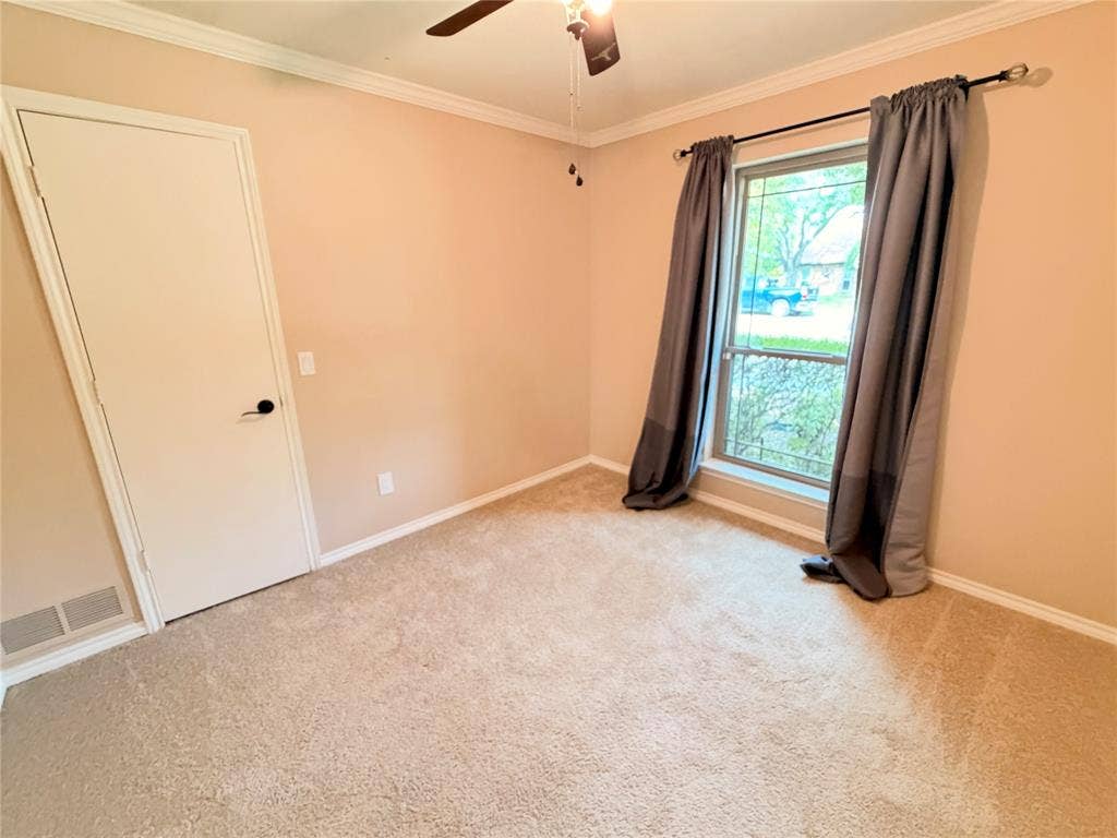 Neutral carpet flooring, crown molding, a single-light window, and a ceiling-mounted fan fixture