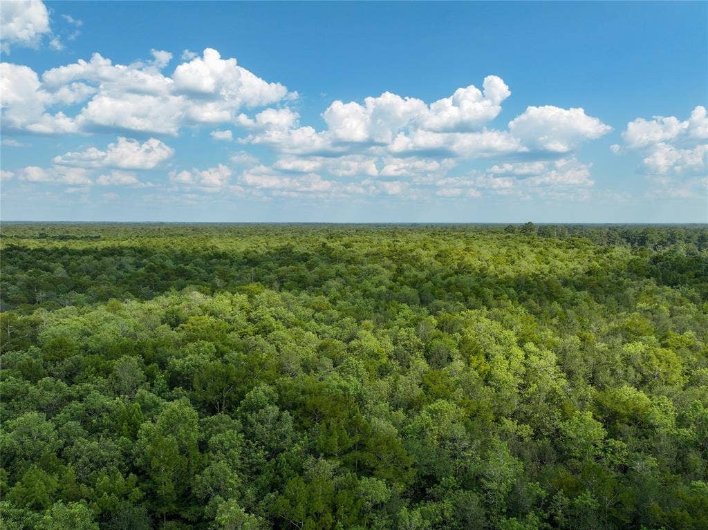 0 CR 2016, Newton, TX 75966 0 CR 2016, Newton, TX 75966