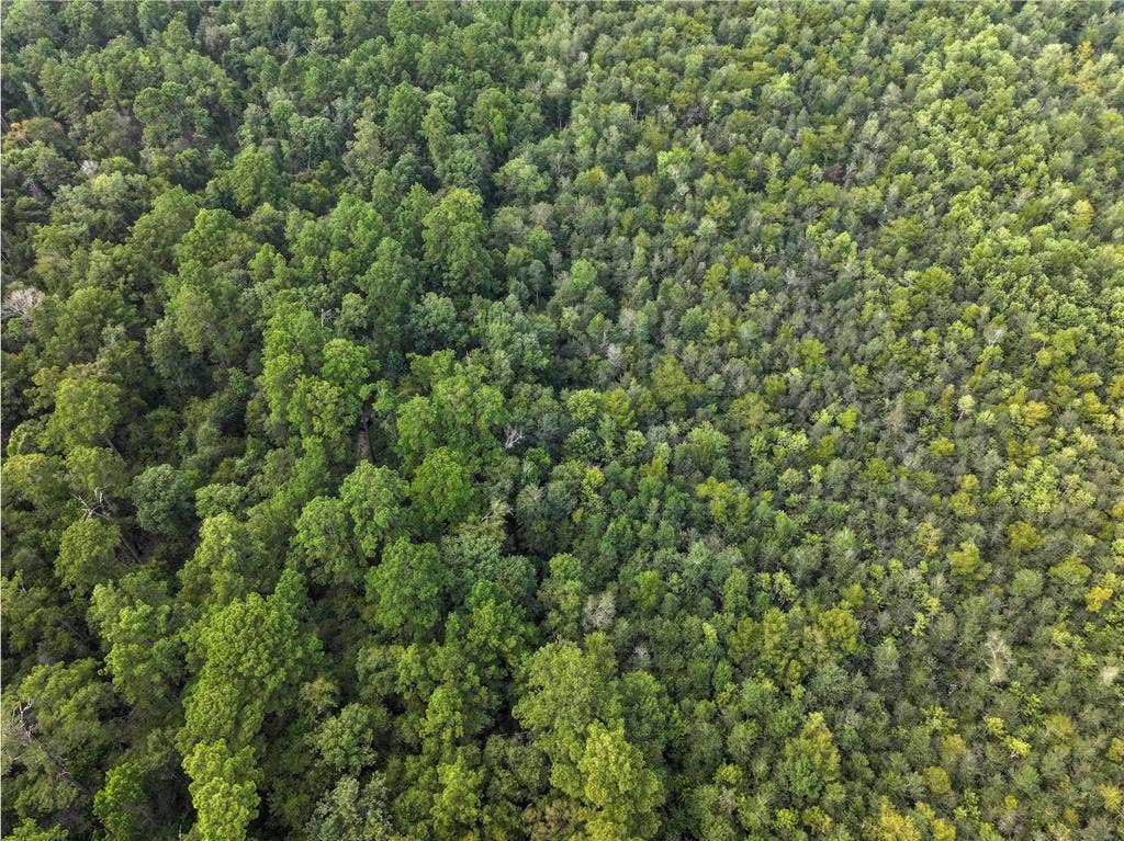0 CR 2016, Newton, TX 75966 0 CR 2016, Newton, TX 75966