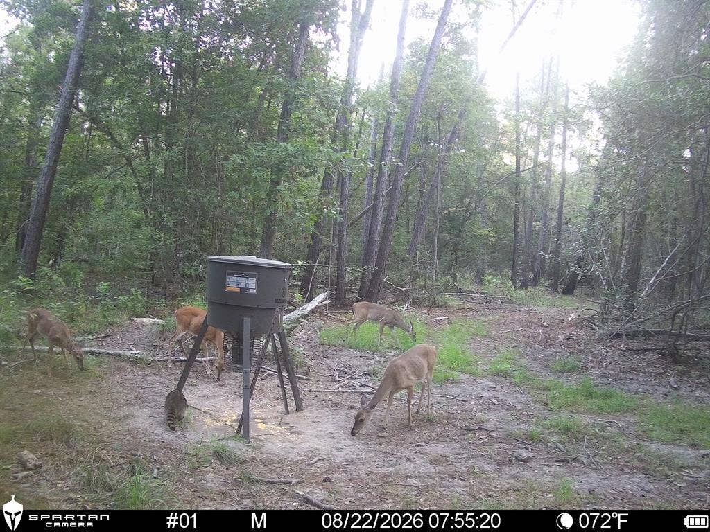 0 CR 2016, Newton, TX 75966 0 CR 2016, Newton, TX 75966