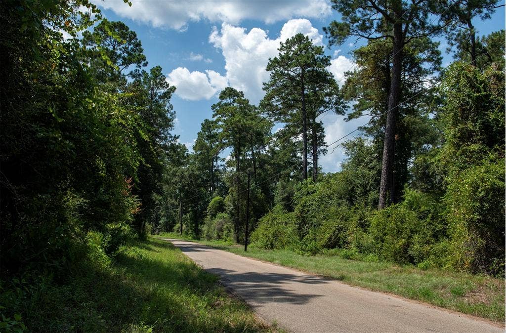 0 CR 2016, Newton, TX 75966 0 CR 2016, Newton, TX 75966